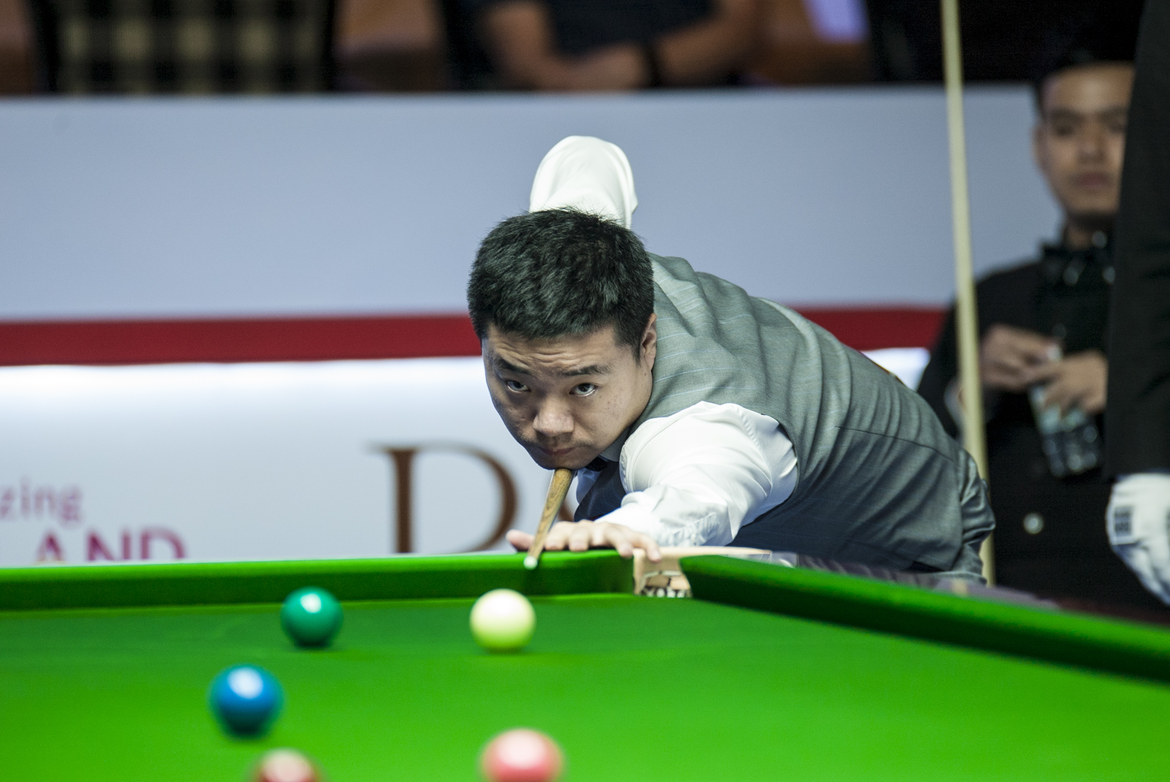 并不新鲜 并不新鲜