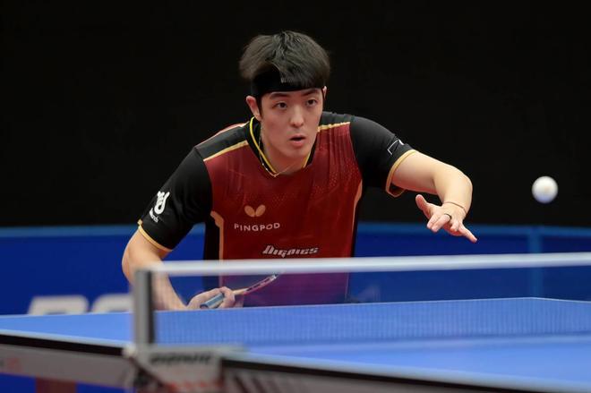 重建和复兴 重建和复兴