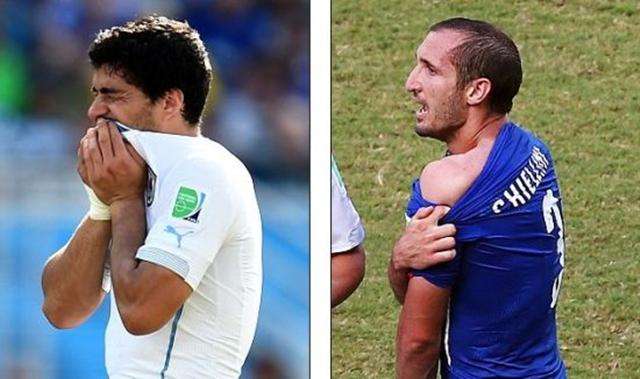 家的冠军选 家的冠军选